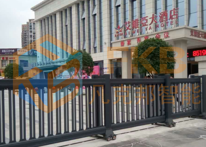 艾维亚大酒店电动伸缩门